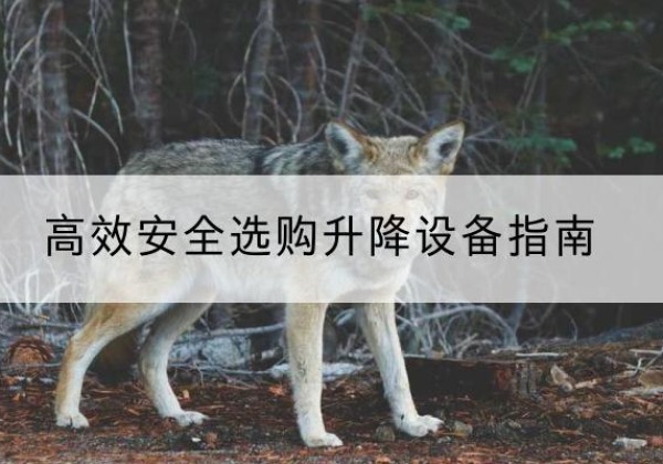 祥符升降货梯厂家推荐-*安全选购升降设备指南