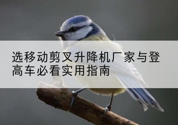 祥符电动升降机厂家-选移动剪叉升降机厂家与登高车必看实用指南