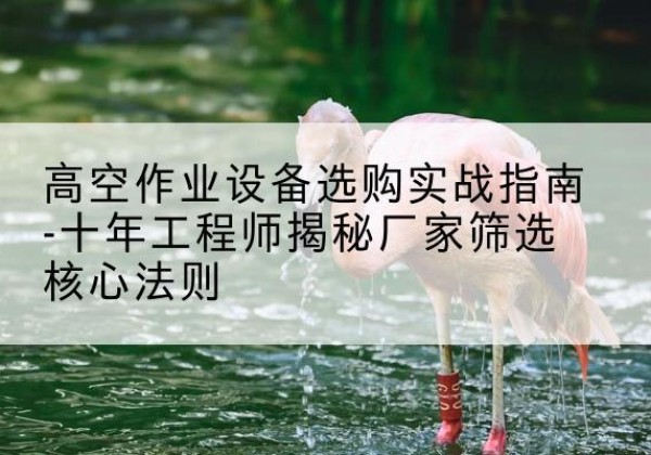 祥符剪叉式升降机厂家-高空作业设备选购实战指南-十年工程师揭秘厂家筛选核心法则